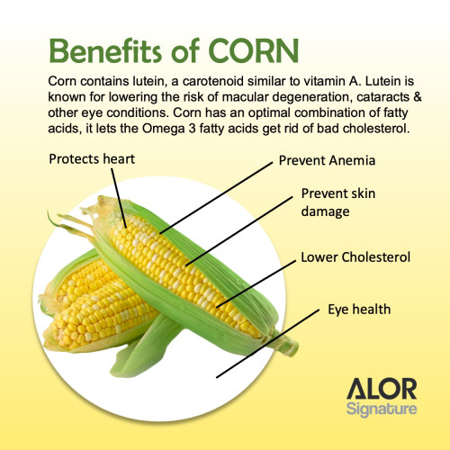 ALOR Freeze Dried Corn (15g x 5 sachets)