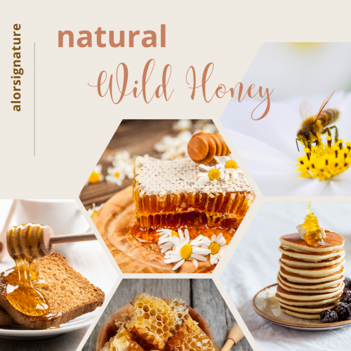 ALOR Natural Wild Honey
