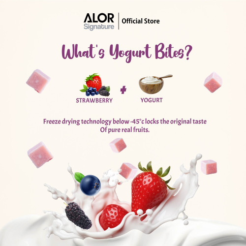 ALOR Yogurt Bites- Carton- Mixed Berries- 15g x 24 packs