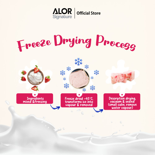 ALOR Yogurt Bites- Carton- Strawberry- 15g x 24 packs