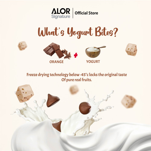 ALOR Yogurt Bites- Carton- Chocochips- 15g x 24 packs