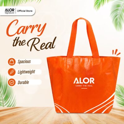 ALOR Carry- Multi-Purpose Organizer | Portable Travel Storage | Everyday Carry | Lightweight & Durable