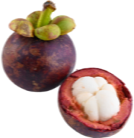 —Pngtree—mangosteen-white-flesh-fruit-tropical_6325591-rine7rsgkyf9kh7e00rj7p3b1lmwyp8abml7dmk5k8
